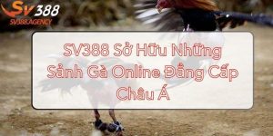sv388-so-huu-nhung-sanh-ga